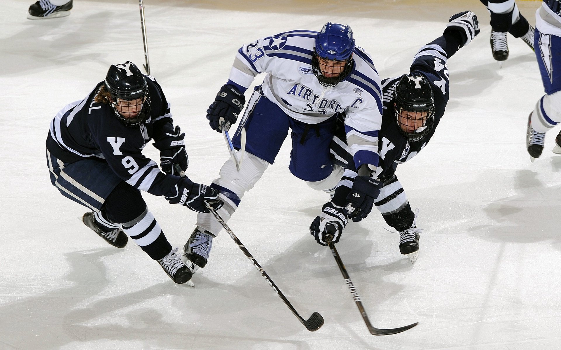 俱乐部青训成果展在本地文化节亮相赢得掌声，青训联赛
