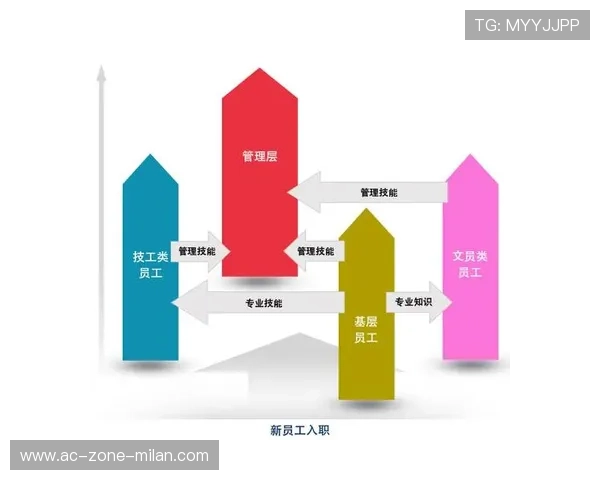 业余选手到职业选手的成长路径调查，职业选手和业余选手的区别感悟